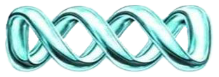 DQAV Installations